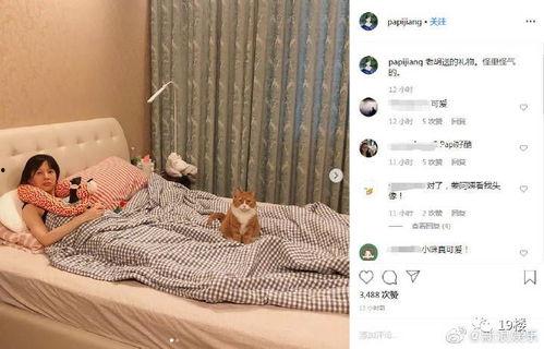 娱乐吃瓜酱怀孕