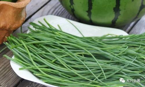 吃瓜网菜网红叫什么,揭秘吃瓜网菜网红的神秘面纱